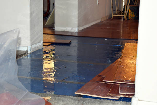 Professional Burst Pipe Cleanup technician working in East Greenwich, RI